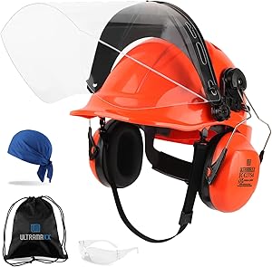 Helm of Obedience 4枚セット Class C Safety Helmet with Visor | Ergodyne